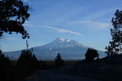 DSC_3039 (Large).JPG